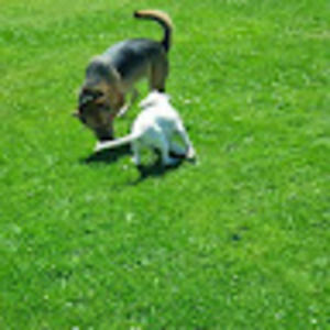 Meet your Posher, Cecilia